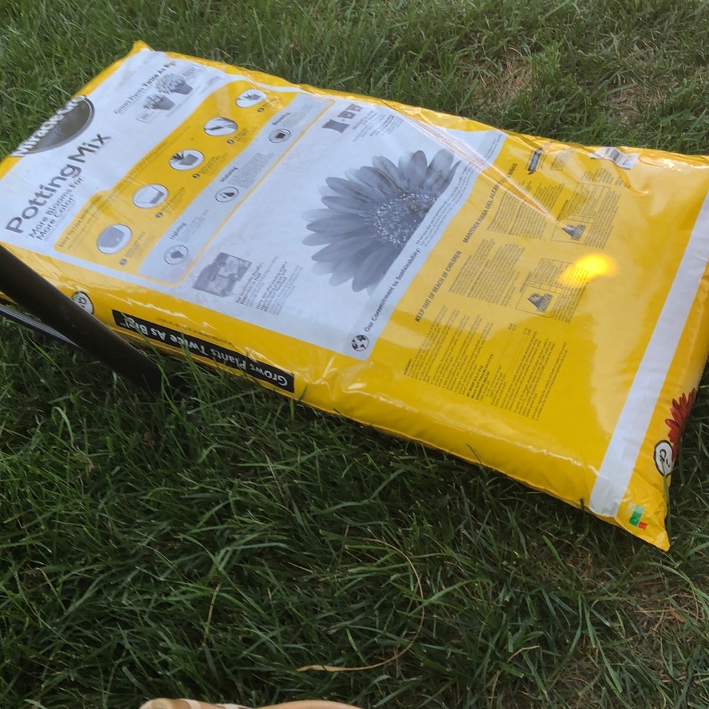 Meet your Posher, Michelle